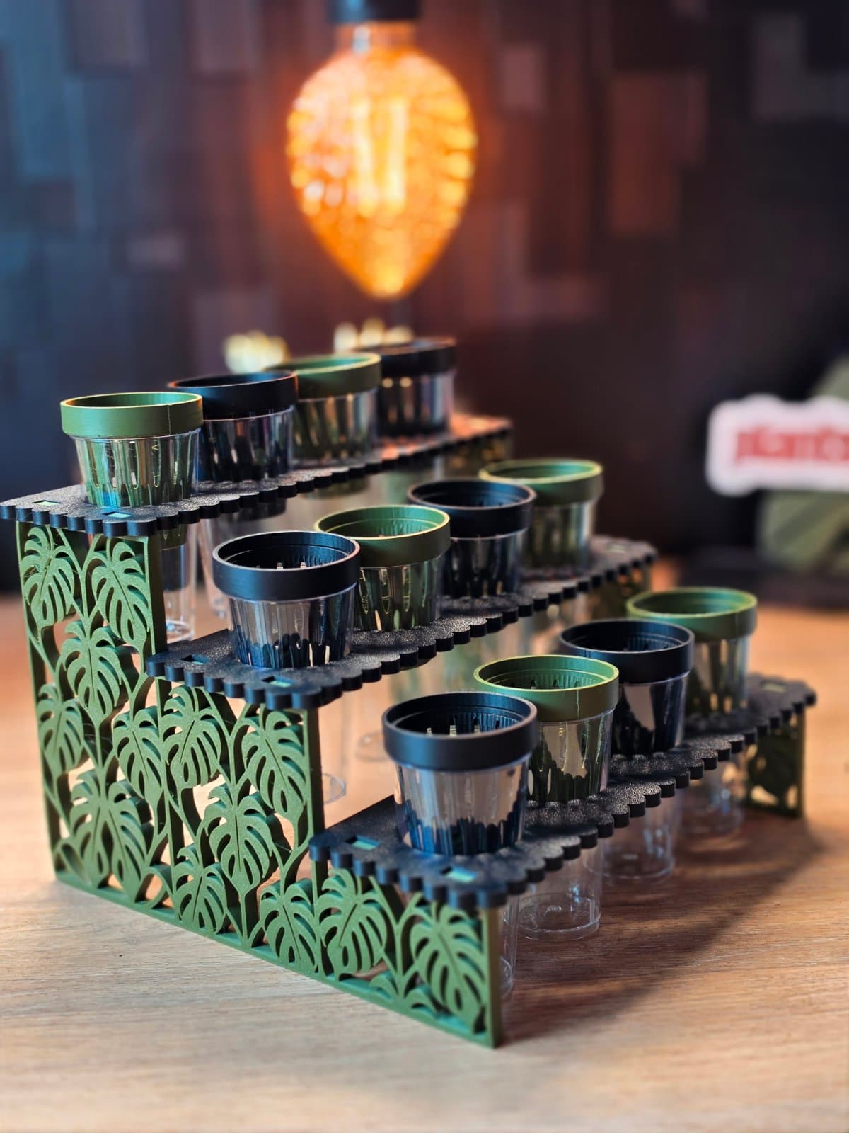 The Sip Station green & black